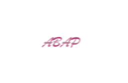 常用BAPI